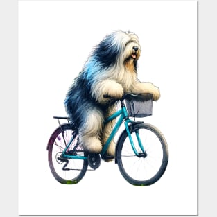 Bergamasco Sheepdog Biking Posters and Art